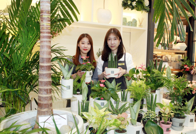 안티더스트