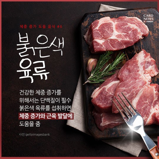 카드 뉴스 이미지