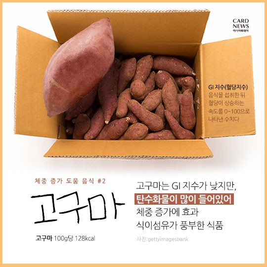 카드 뉴스 이미지