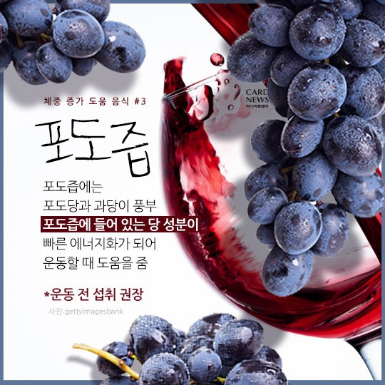 카드 뉴스 이미지