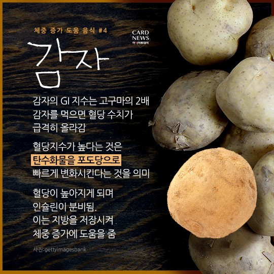 카드 뉴스 이미지
