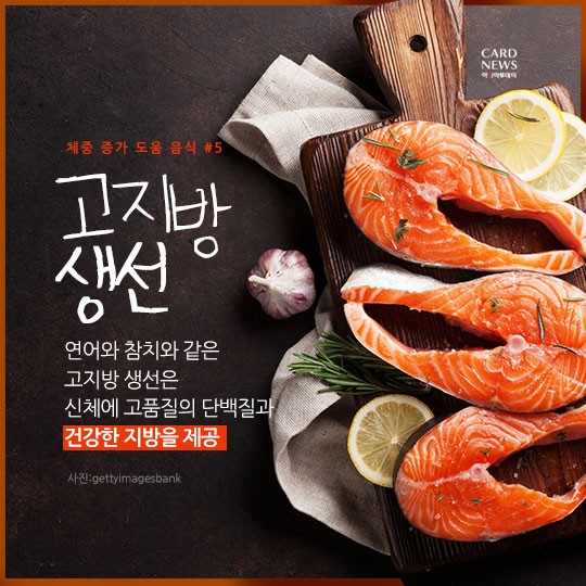 카드 뉴스 이미지