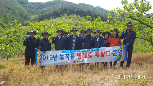청도농작물병해충방제단운영