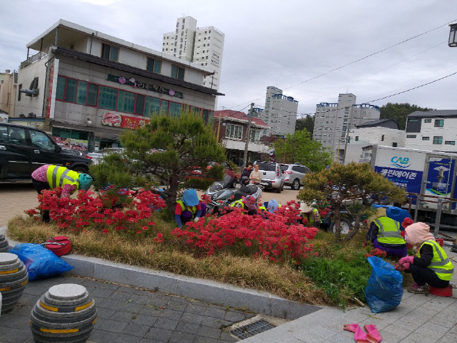 2019 하반기 공공근로 및 지역공동체일자리사업 시행1