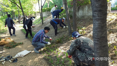 숲길조성