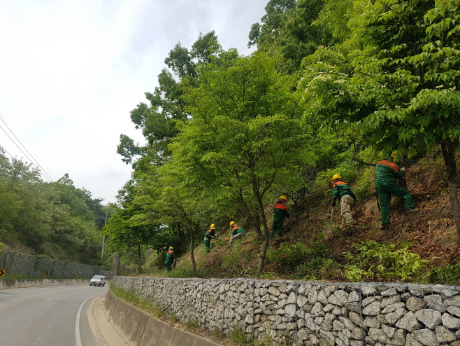 봉화군, 도로변 산림환경정비 및 숲가꾸기 (2)