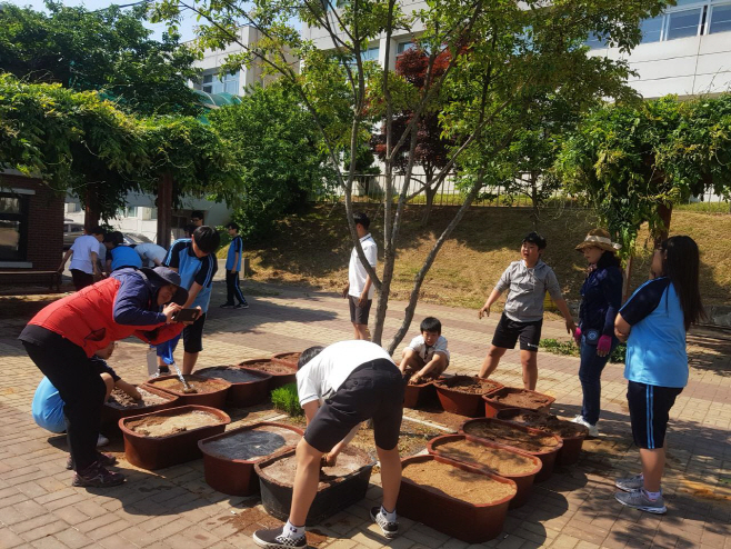 벼학교