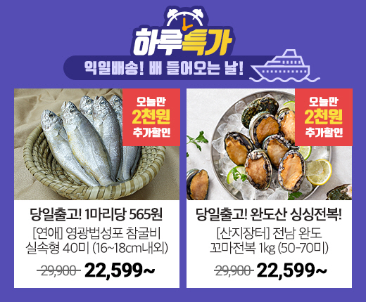 배들어오는날_하루특가