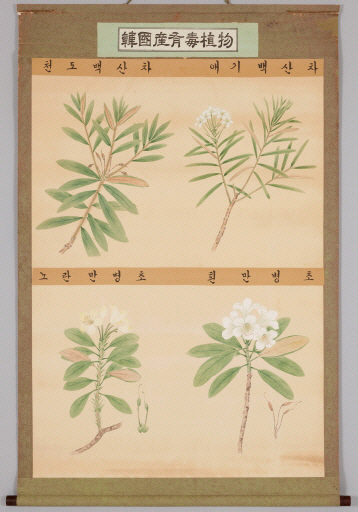 정찬영, 한국산유독식물(韓國産有毒植物)