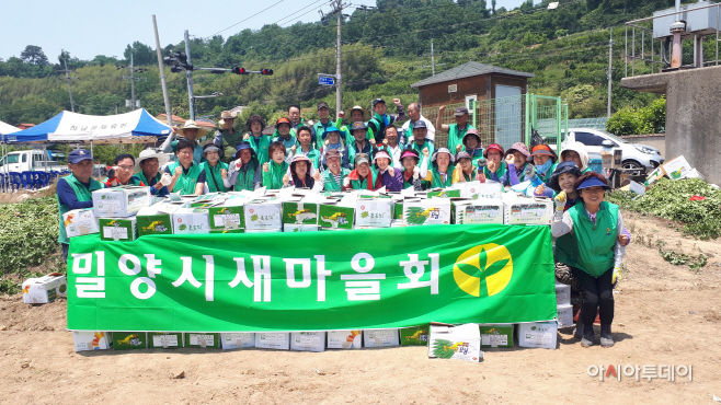 0604 새마을감자수확