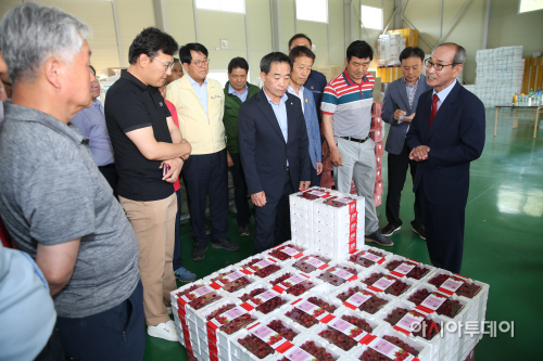 청도산딸기수출컨설팅 (1)