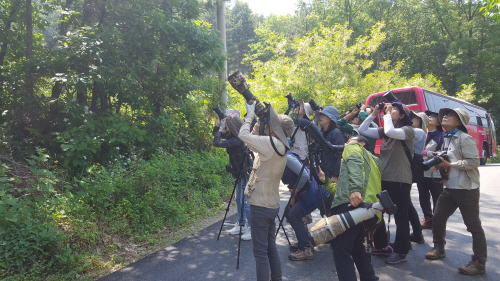 판교생태체험
