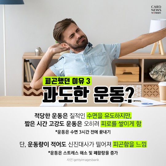 카드 뉴스 이미지