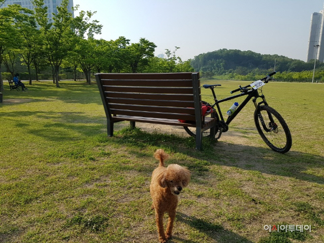 수원시 광교 중앙공원