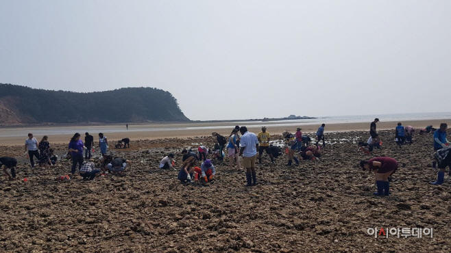 3.어촌체험활동 장면