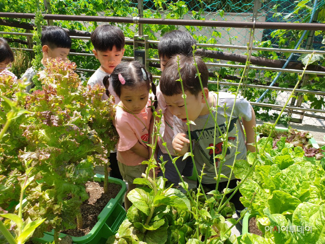 20190625[공원녹지과]금천구 하늘텃밭 생태투어(사진2)