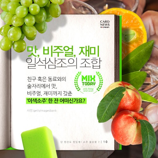 카드 뉴스 이미지