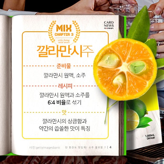 카드 뉴스 이미지