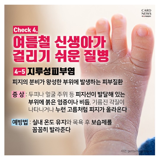 카드 뉴스 이미지