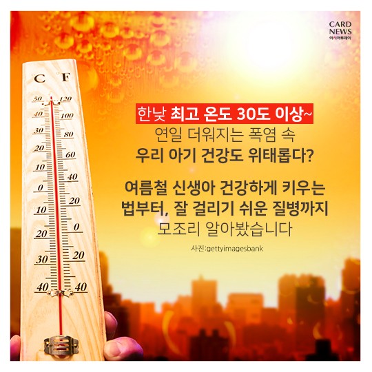 카드 뉴스 이미지
