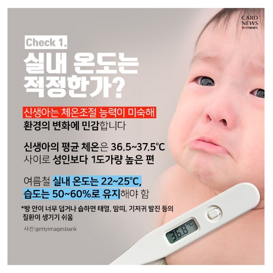 카드 뉴스 이미지