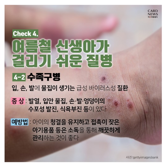 카드 뉴스 이미지