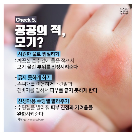 카드 뉴스 이미지