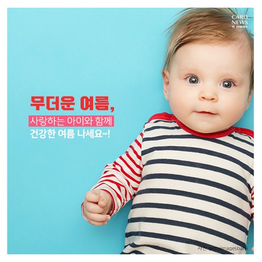 카드 뉴스 이미지