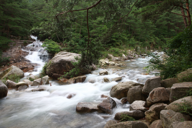 곡성 청계동 계곡