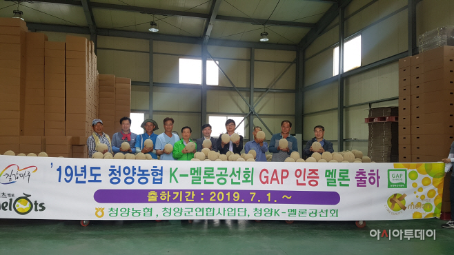 청양멜론공선회, 달콤한 ‘꿀 멜론’ 첫 출하