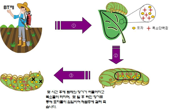 천연살충제 공급