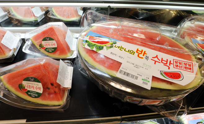 나혼자 수박_반쪽 수박 이미지