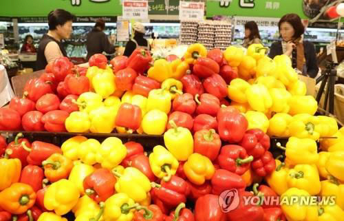 대일 수출 대표 농산물 중 하나인 파프리카