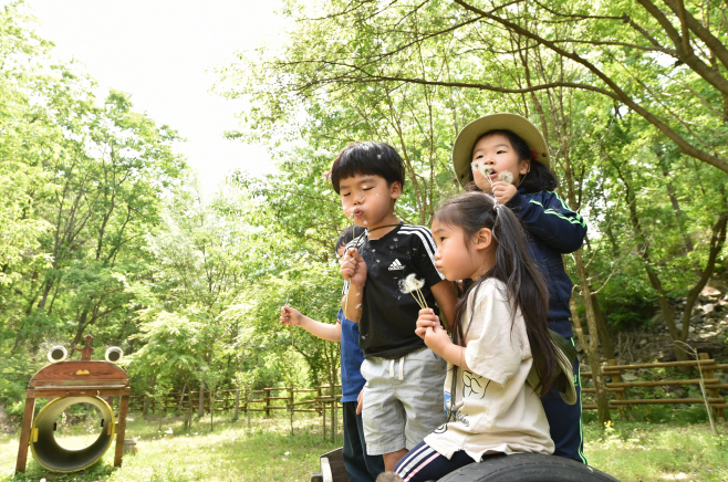 산소카페 청송군 청정 자연, 유아숲) (1)