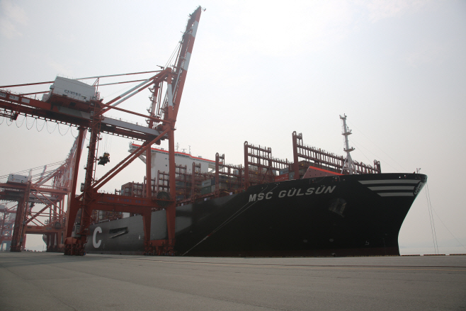 MSC 굴슨호