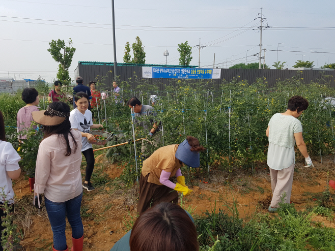 평택시, 슈퍼오닝농업대학 텃밭작물 수확체험 및 기부