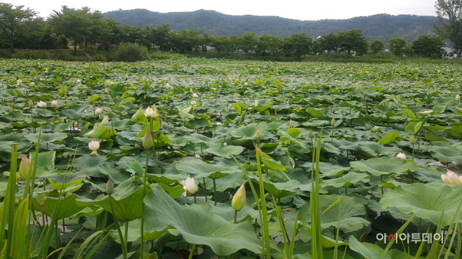 구미 지산샛강 생태공원