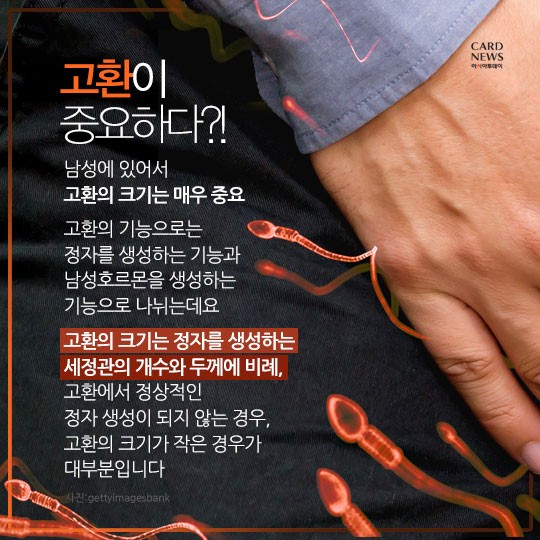 카드 뉴스 이미지