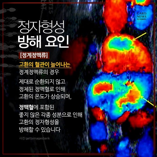 카드 뉴스 이미지