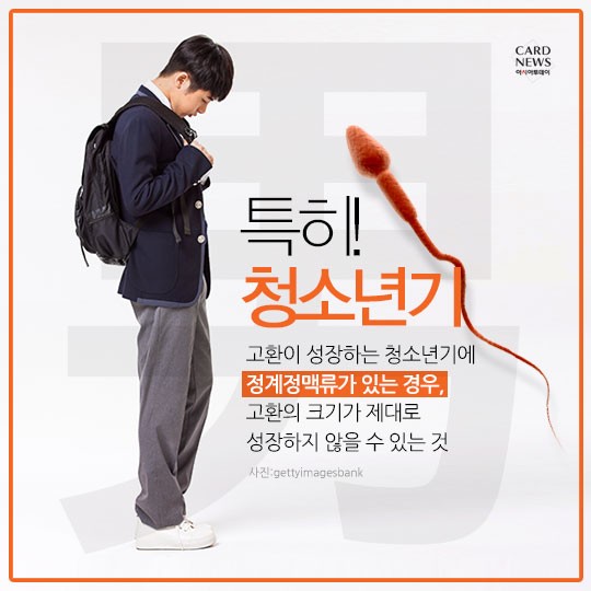 카드 뉴스 이미지