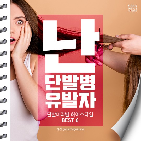 카드 뉴스 이미지