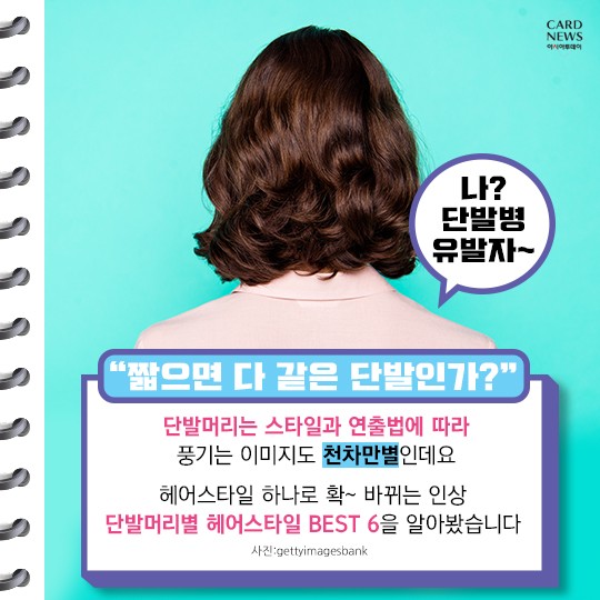 카드 뉴스 이미지