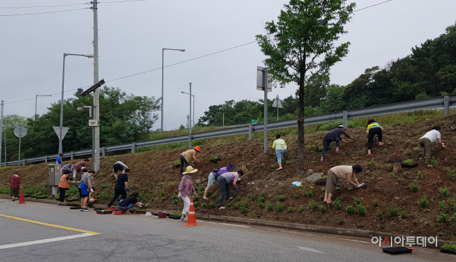 도로변에 자생식물 2천여본 식재