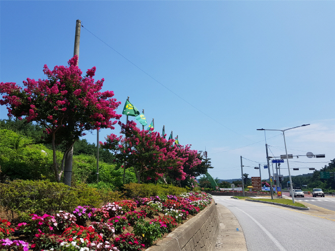 울진군, 연도 변 가꾸기 사업 통합 시행2