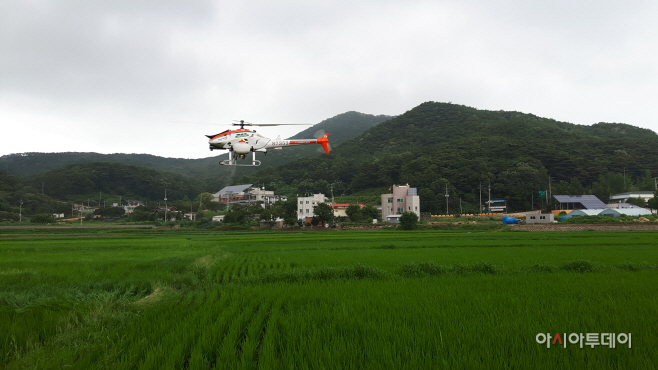 옹진군