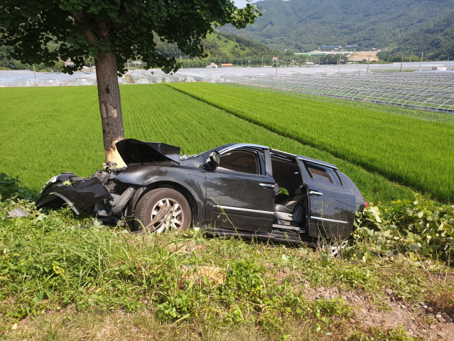 달리던 승합차 가로수 들이받고 전복