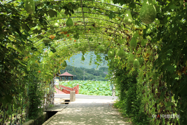 산림조합 019