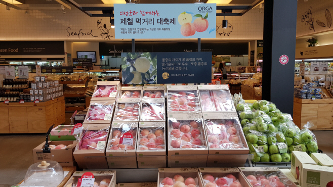 02_올가홀