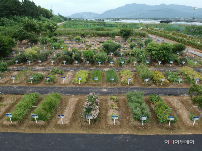 DJI_0297