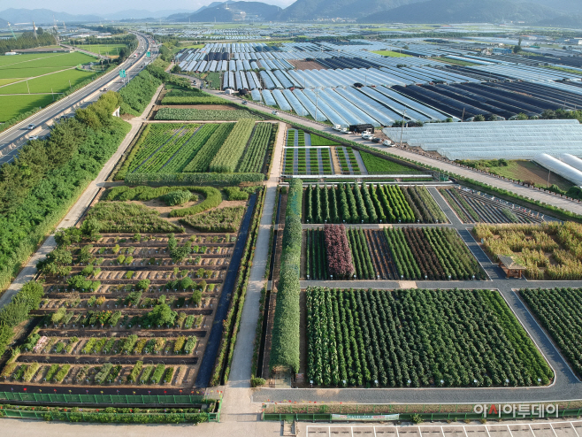 DJI_0335
